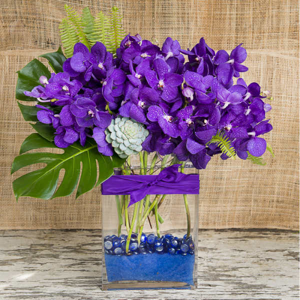 Purple orchid arrangement in a clear square vase with a ribbon