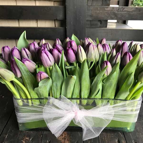 Purple tulips arranged in a clear rectangular vase with a white tulle bow