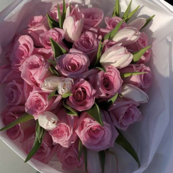 Pink Paradise
