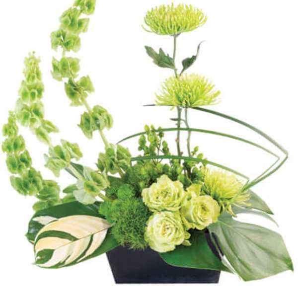 Green floral arrangement in a black container with tall blooms