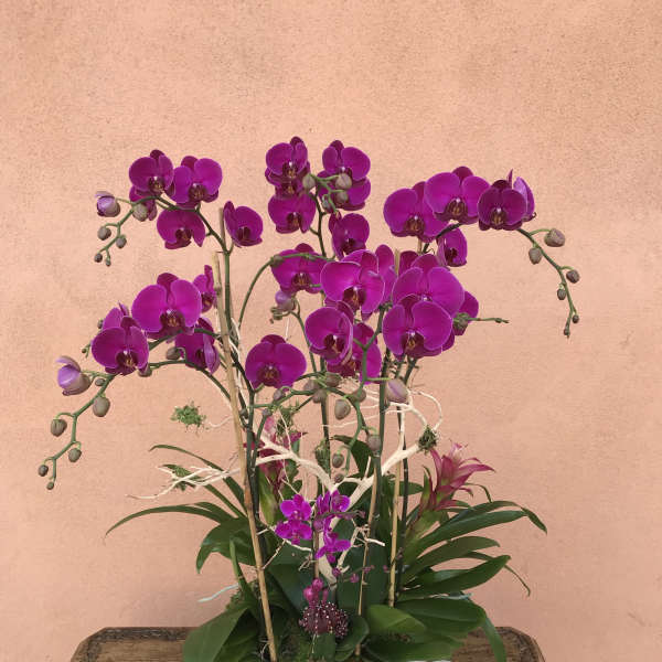 Purple orchid arrangement in a white bowl vase on a wooden table