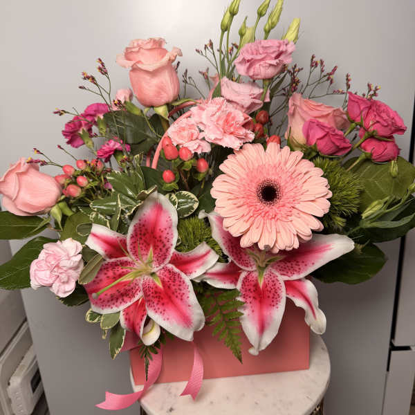 Cony Bloom