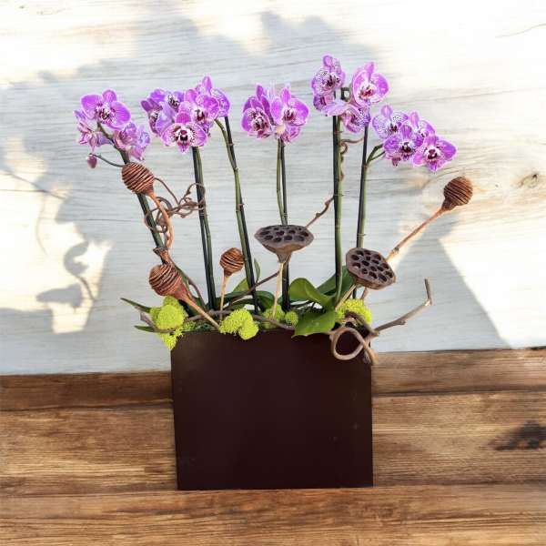 Purple orchids arranged in a rectangular brown planter with decorative pods