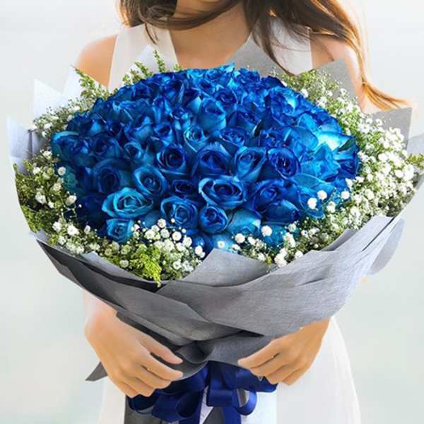 Large bouquet of blue roses with white filler flowers