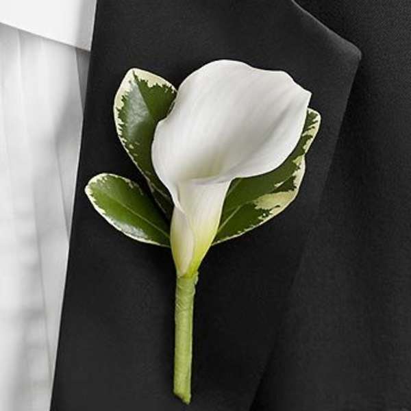 White calla lily boutonniere with variegated green leaves on a black suit lapel