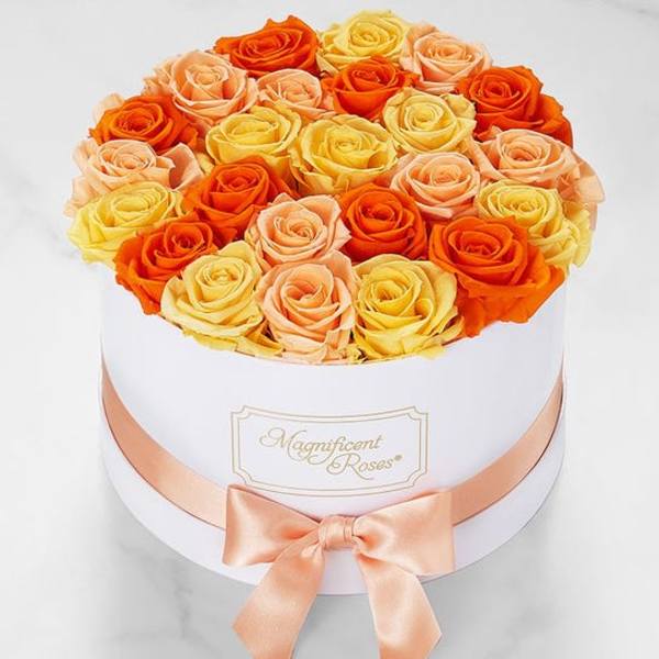 Round box of orange, peach, and yellow roses with a satin ribbon