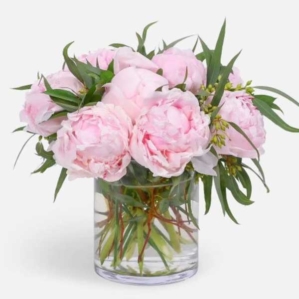 Pink peonies arranged in a clear glass vase