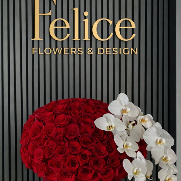 Red rose arrangement with white orchids in a velvet box