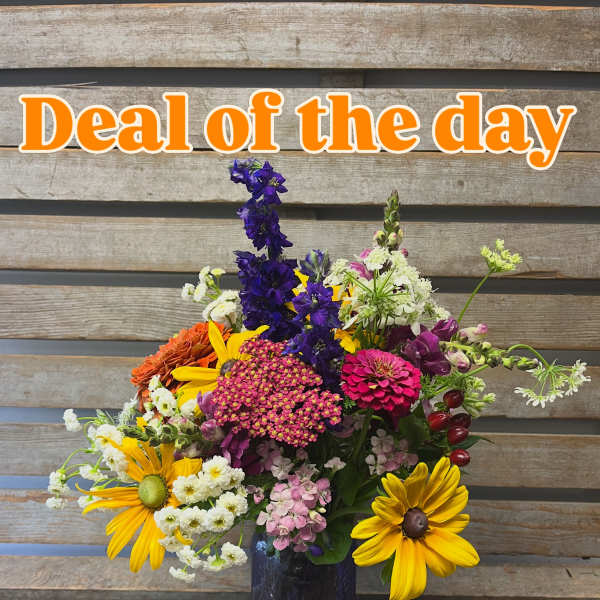 Summer mason jar ( asst color jar)