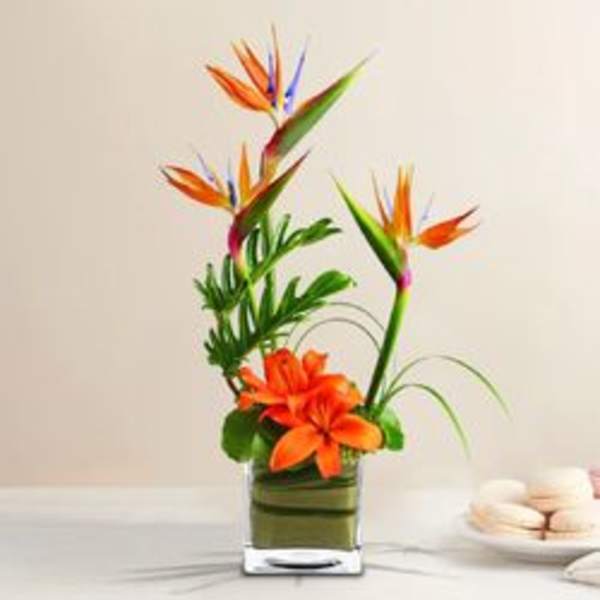 Orange bird of paradise flowers in a clear glass vase
