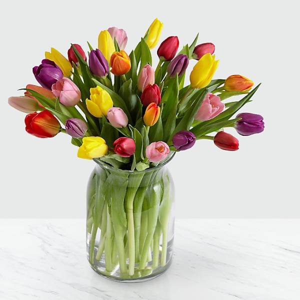 Colorful tulip bouquet in a clear glass vase