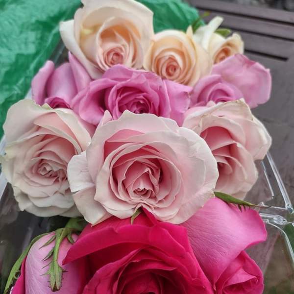Bouquet of pink and cream roses in a clear box