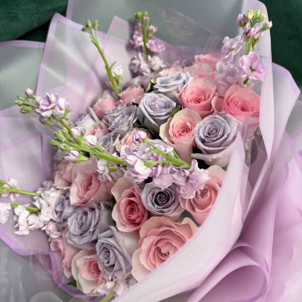 The Lavender Haze Dream