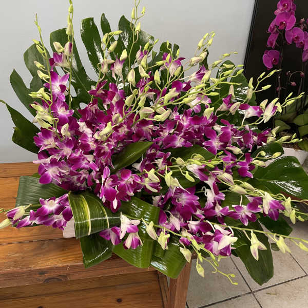 Large arrangement of purple orchids with glossy green leaves