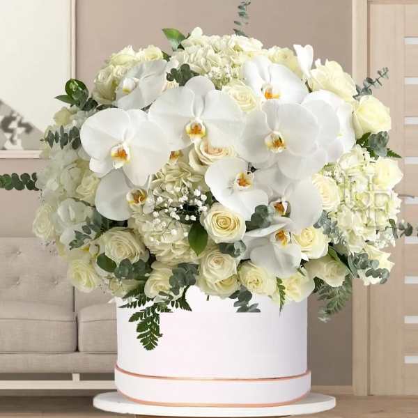 Large white floral arrangement with orchids and roses in a round box