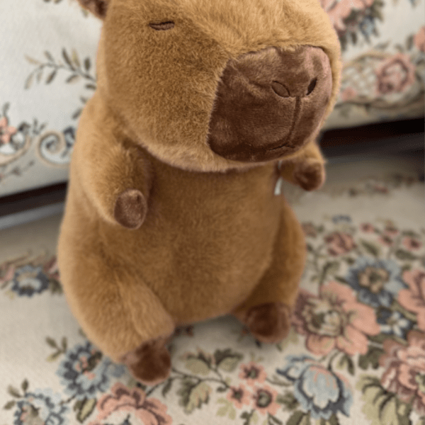 Capybara Plush