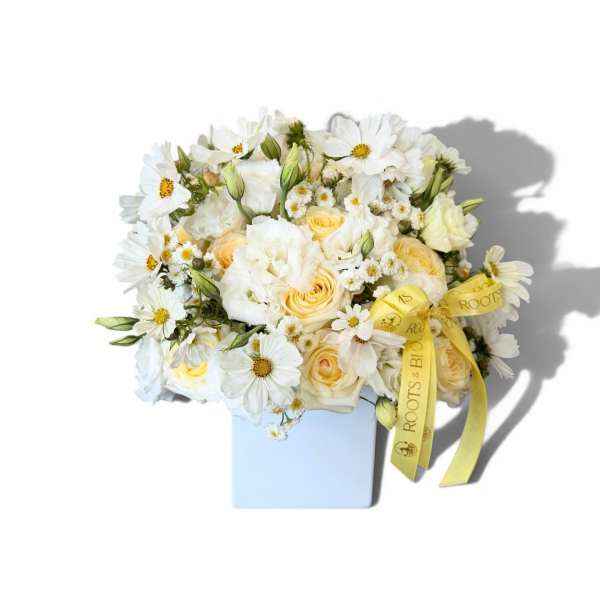 Ivory Sunshine