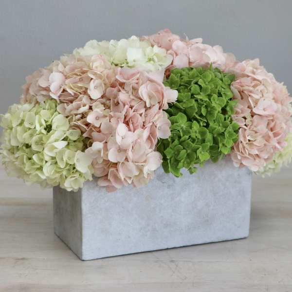 Low arrangement of pink, white, and green hydrangeas in a rectangular gray container