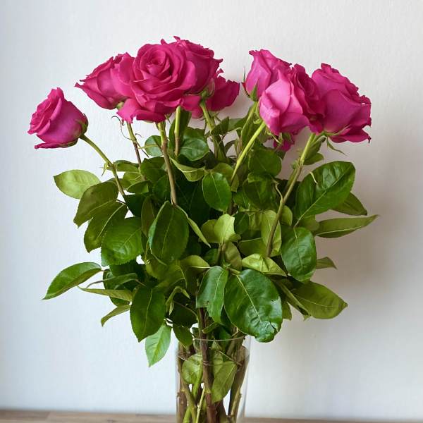Pink roses in a clear glass vase