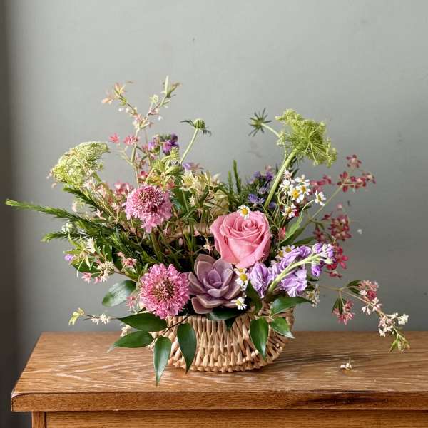 Fresh Garden Picks (SF121)