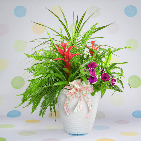 Tropical floral arrangement in a white vase with pink ribbon