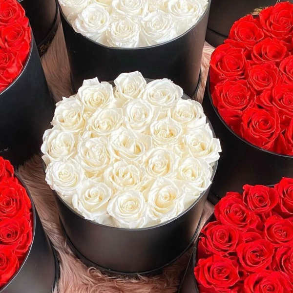 Round boxes filled with red and white roses