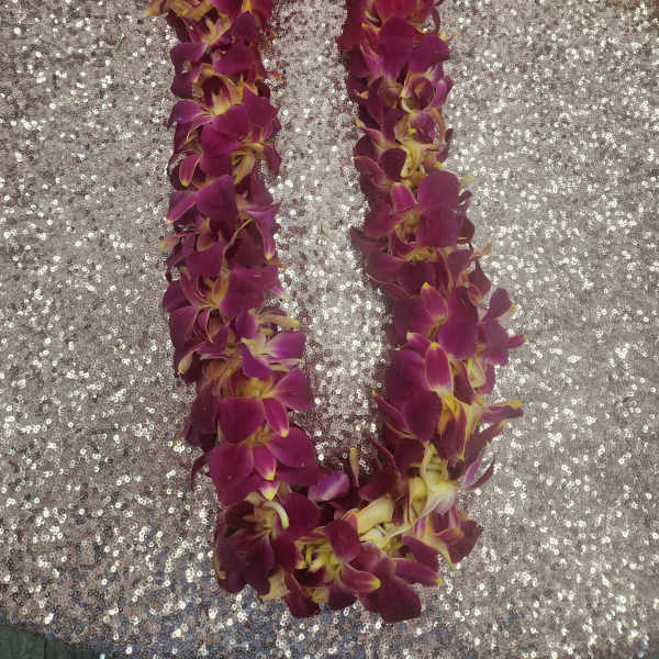 Hawaiian Lei - Flower lei - Fresh Orange Orchid Lei -