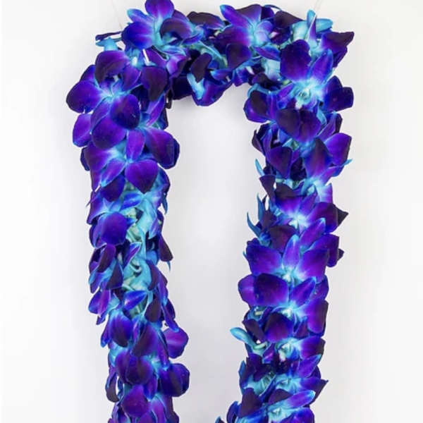 Blue double Orchid Lei
