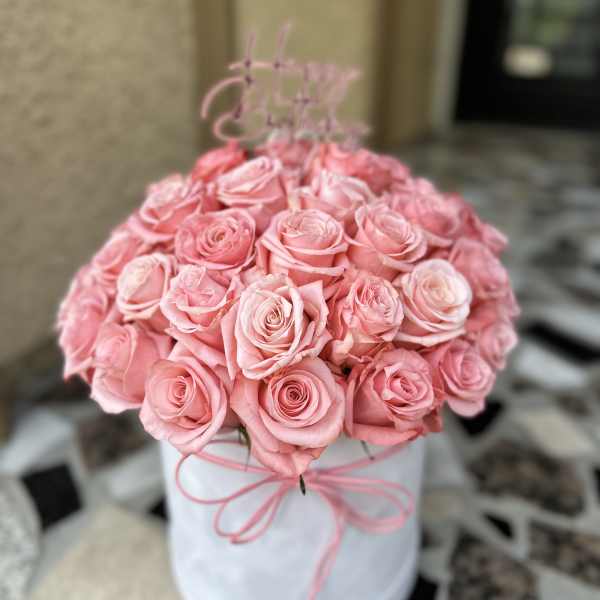 Warm Embrace
