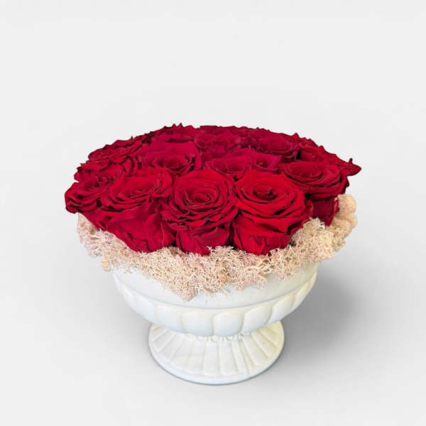 Eternal Scarlet Roses
