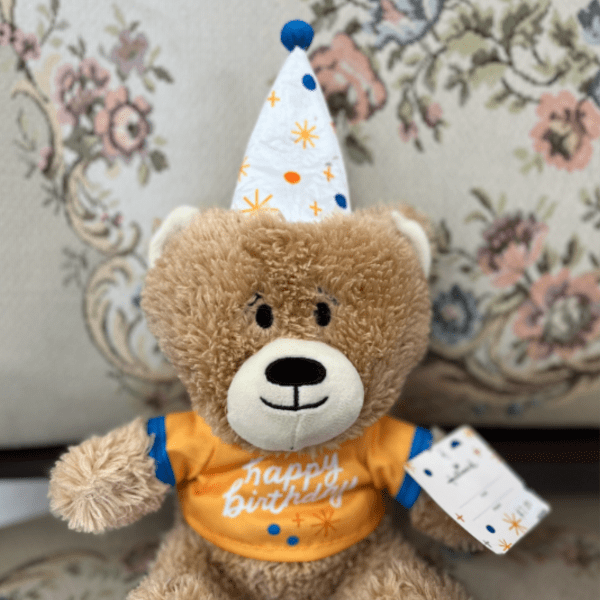 Birthday Teddy Plush