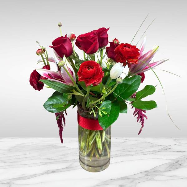 Bonita Dia