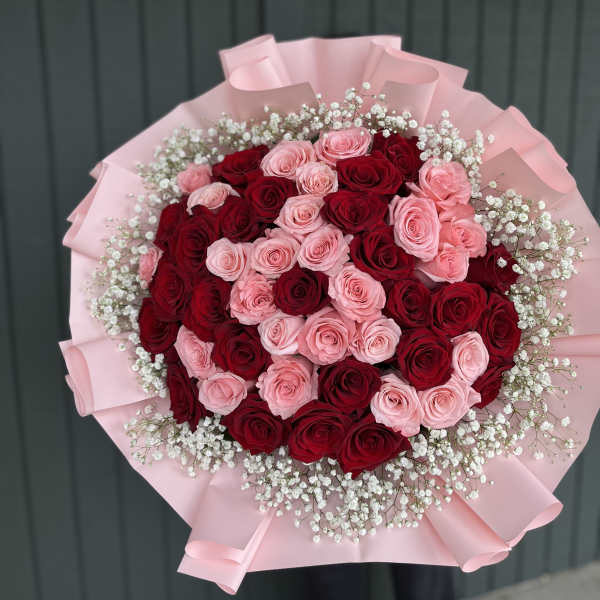 Bouquet of red and pink roses wrapped in pink paper with baby's breath