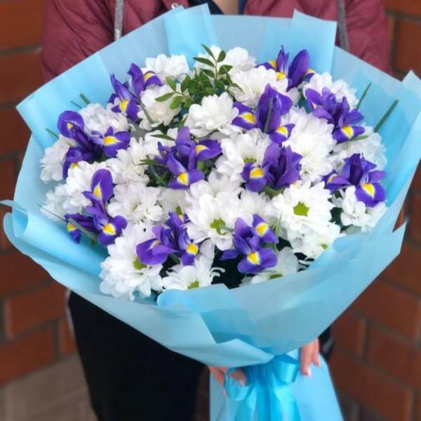 Bouquet of white daisies and purple irises wrapped in blue paper