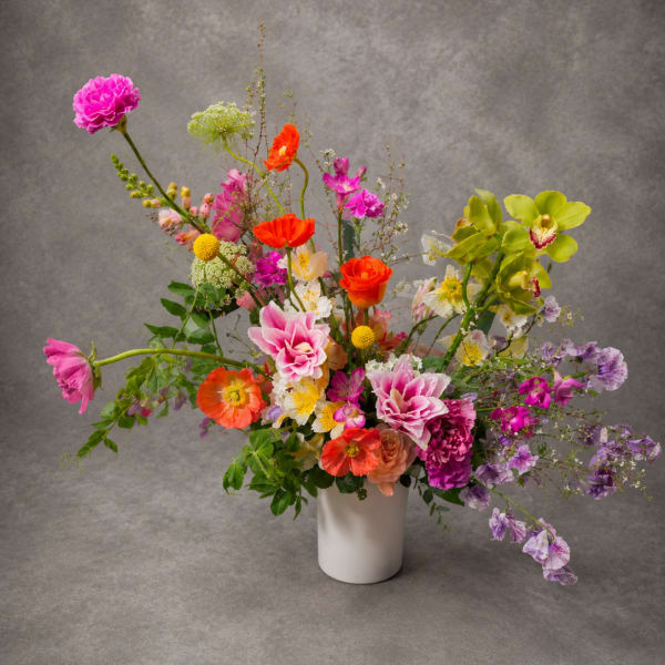 Wild Bloom