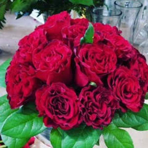 Bouquet of deep red roses with green leaves