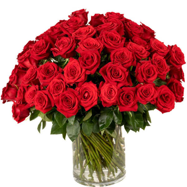 Dozens of red roses arranged tightly in a clear glass vase
