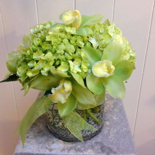Green hydrangea and orchid arrangement in a glass vase