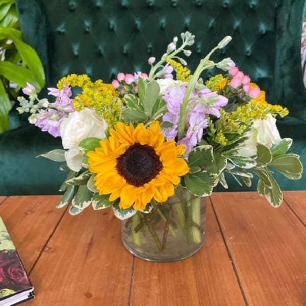 sunflower surprise