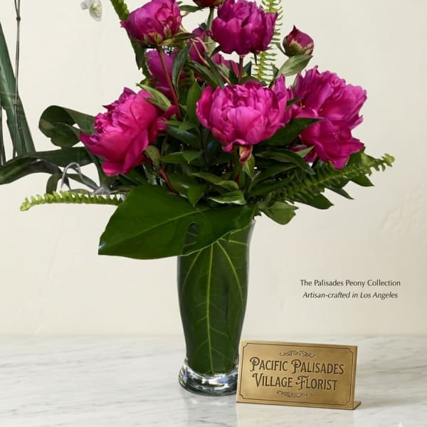 Palisades Peony