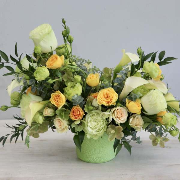 Lime Delight - WeHo