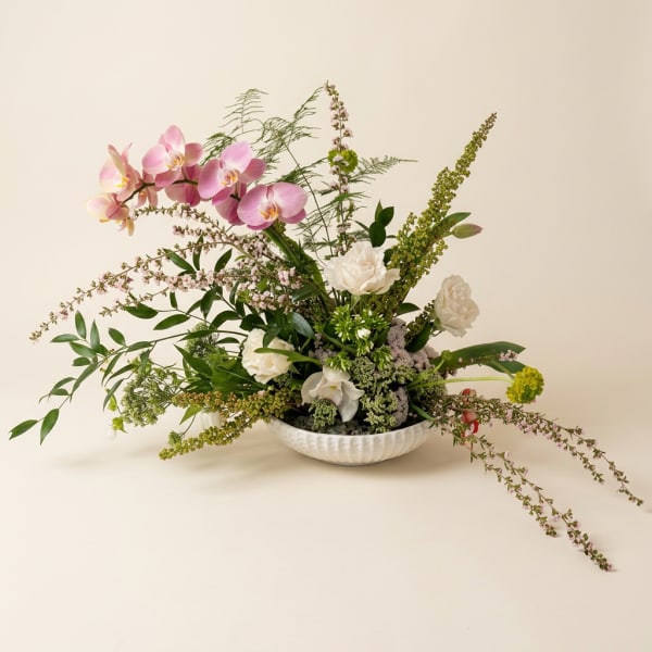 Orchid Drift