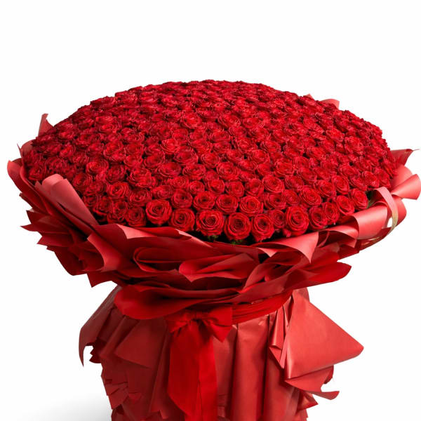 Large bouquet of red roses wrapped in red paper