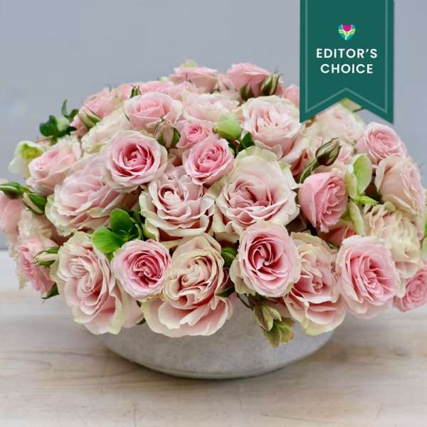 Low bowl of tightly clustered blush pink roses in a compact dome-shaped arrangement