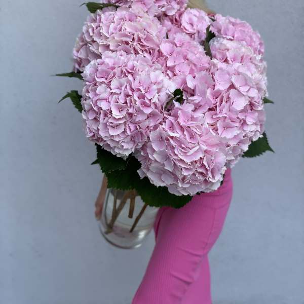 Large bouquet of pink hydrangeas in a clear glass vase