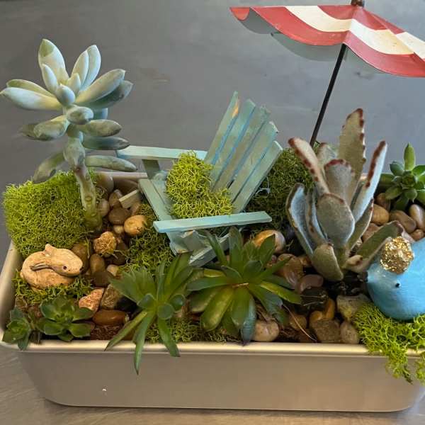 Succulent arrangement in a rectangular planter with a tiny chair and umbrella