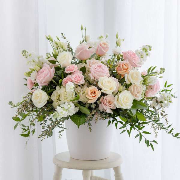 Pink and white roses arranged in a white pot