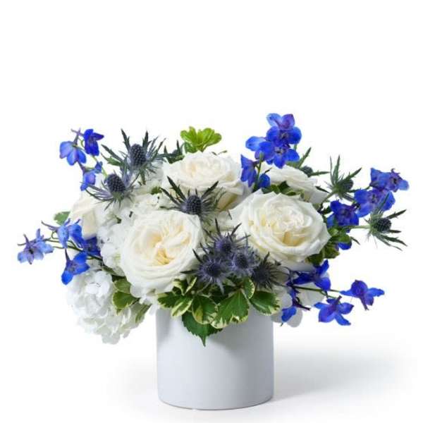 Low white and blue flower arrangement with roses in a white cylinder vase