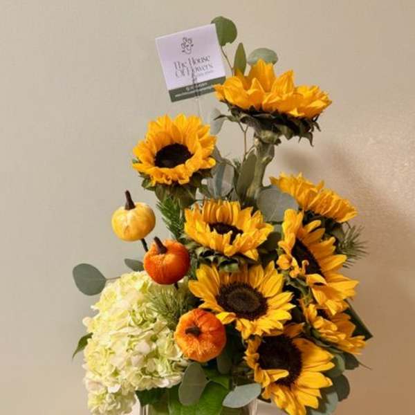 Sunflower arrangement in a glass vase with white hydrangea and small pumpkins