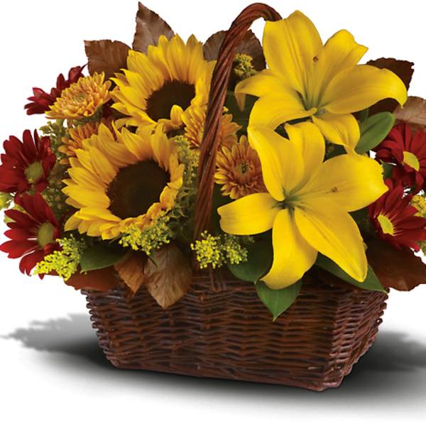 Basket of yellow lilies, sunflowers, and red daisies